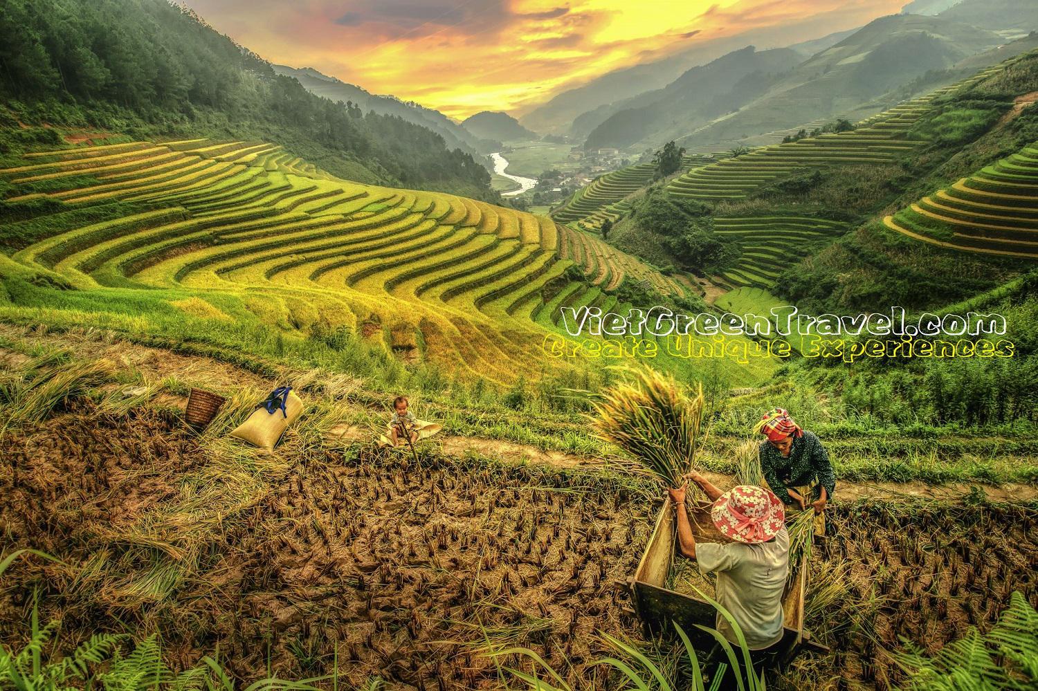 Vietnam Unique Experiences