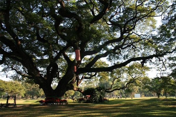 Chiang Mai Gymkhana Golf Club, Thailand