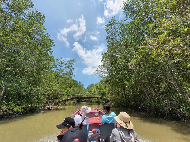 Saigon’s open secret: a vantage spot for migratory bird watchers