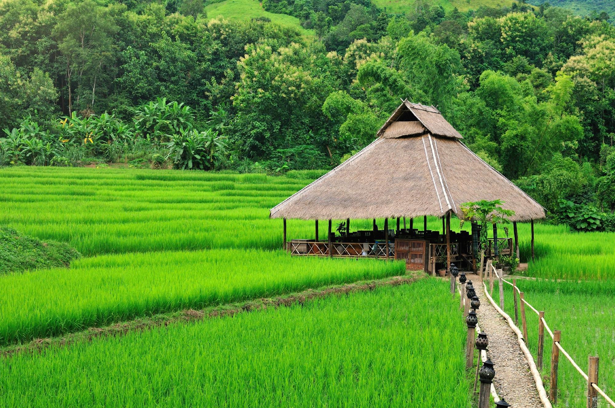 Laos Tour 6 Days - Unique Point Of View Luang Prabang