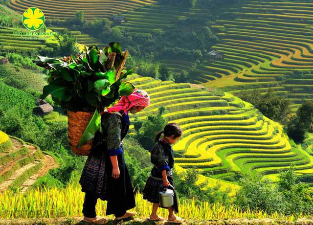 North Vietnam at a Glance 5 Days | Viet Green Travel