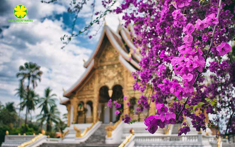 Luang Prabang Family Experiences 6 days  tour