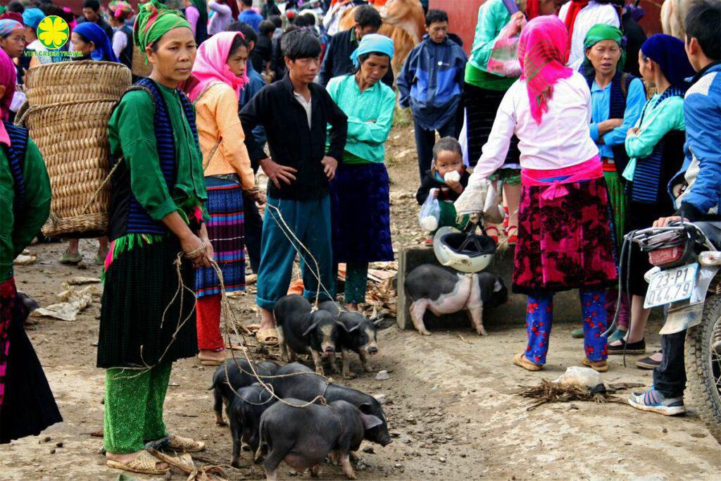 HA GIANG PANORAMAS 4 DAYS 