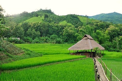 Viet Green Travel, Laos tours, best Laos tours, Laos in Style 12 days tour, popular Laos tours