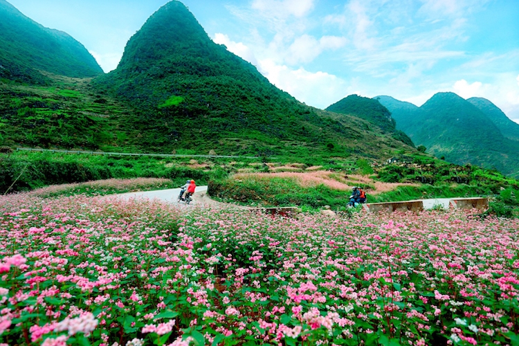 A Glimpse of Ha Giang 2 Days tour, Viet Green Travel