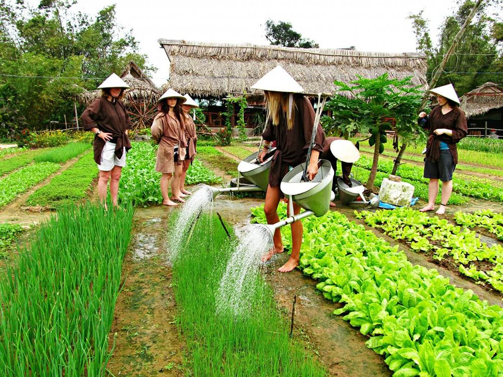 Viet Green Travel, Vietnam tours, the best Vietnam tours, Hoi An Surrounding And Beach Break 7 days, Central of Vietnam tours, Highlight Vietnam tours