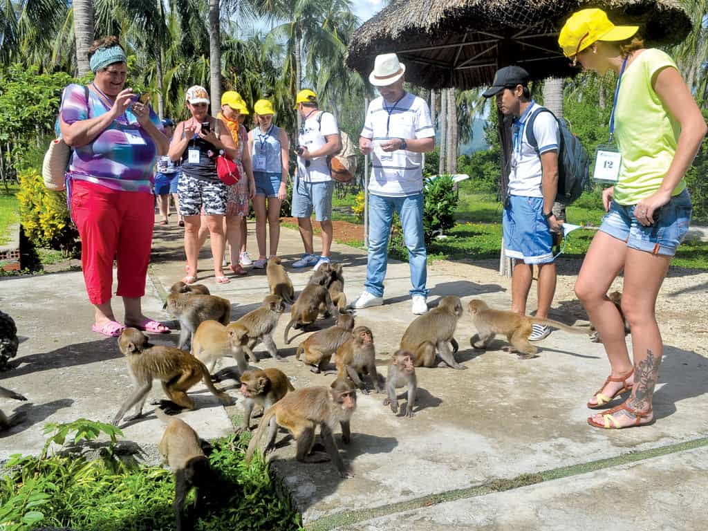 Viet Green Travel, Vietnam tours, the best Vietnam tours, Central and Southern Vietnamese Taste 10 days, Central of Vietnam tours, Southern of Vietnam tours, Highlight Vietnam tours