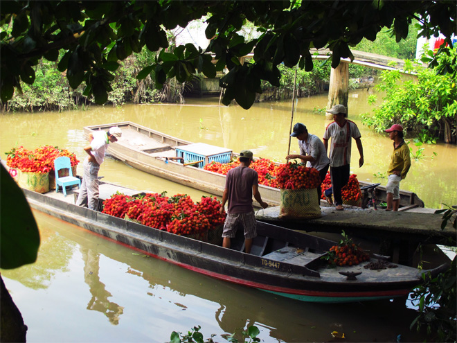 Tan Phong Island, Vietnam Travel Tips