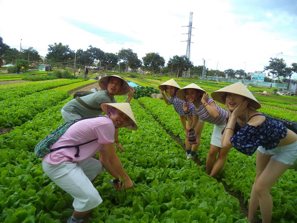 Vietnam Beach Holidays Central Vietnam Tours Hoian Tours Viet Green Travel