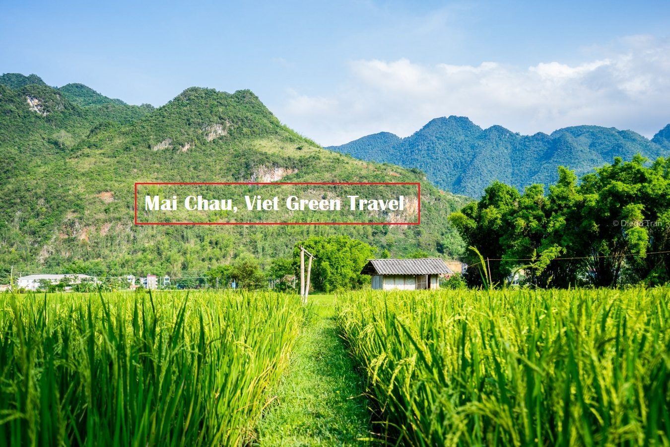 Vietnam Adventure, Viet Green Travel, Hanoi, Saigon, Halong Bay, Mai Chau Valley, Vietnam Tours