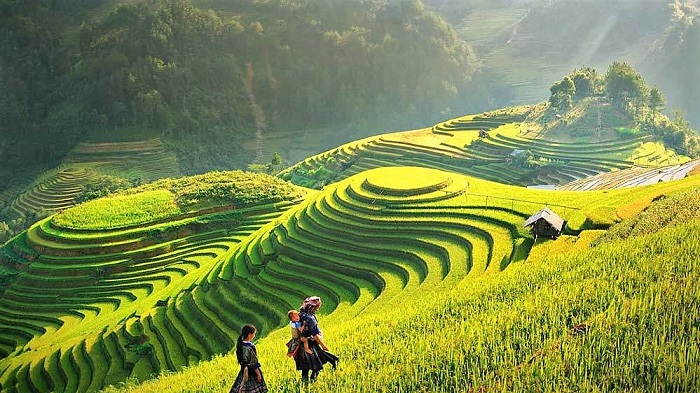 Vietnam Tours, Viet Green Travel, Sapa, Halong Bay