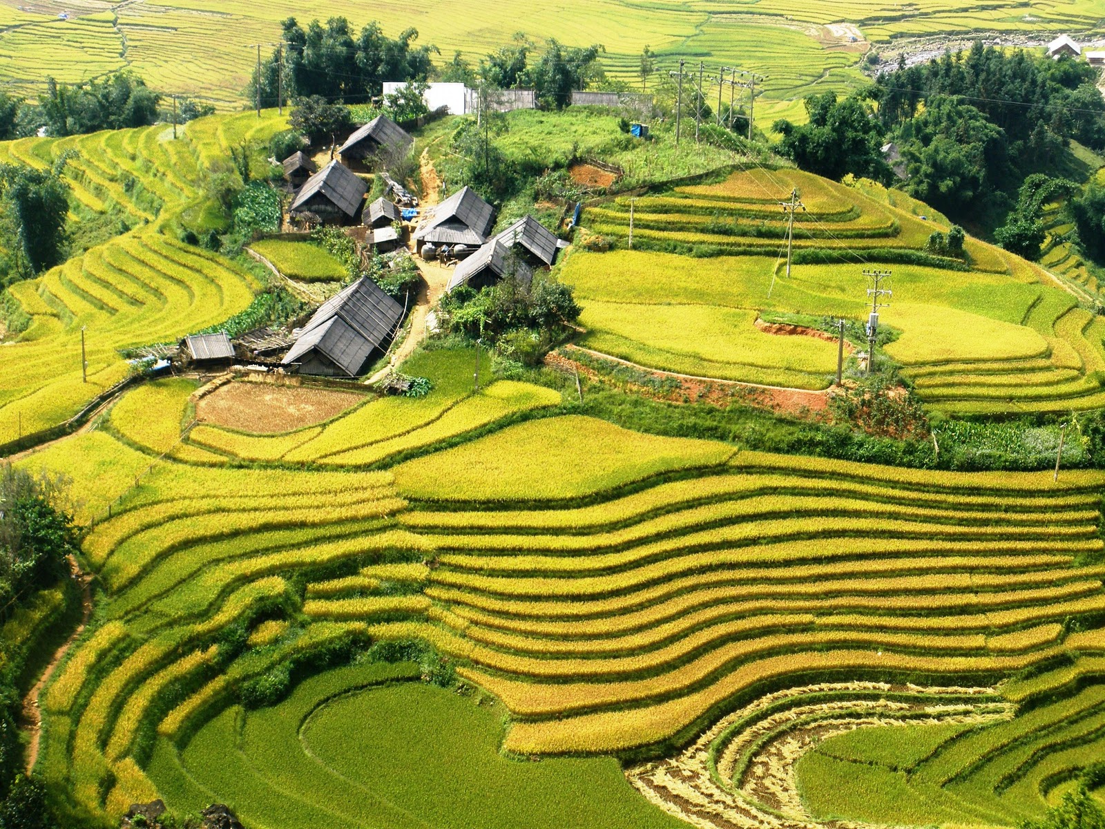 Vietnam 15 days Tour by Train for Small Group Viet Green Travel