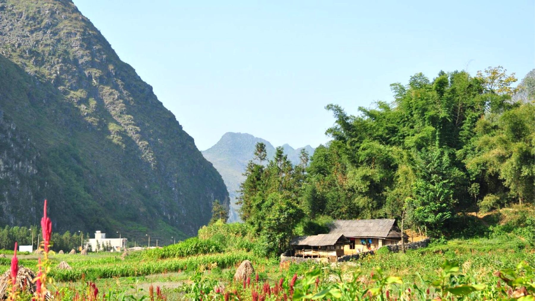 Vietnam Tour, Viet Green Travel, Vietnam Cultural Tours, Excursion Tour, Ha Giang Tour, Nature Tour, Authentic of Ha Giang 3 days Exploration