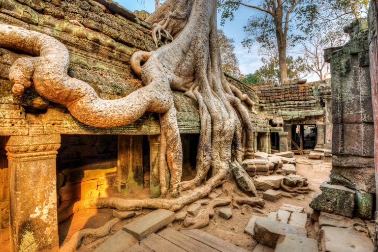 Ruins Of Angkor & Ayutthaya To Beauties Of Chiang Mai & Wildlife